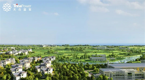 分布式光伏“大浪淘沙” 什么是打造新質(zhì)生產(chǎn)力的關(guān)鍵？