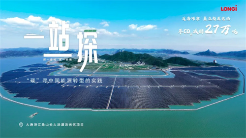 震撼！63.7萬(wàn)塊隆基組件建起灘涂上的鋼鐵森林