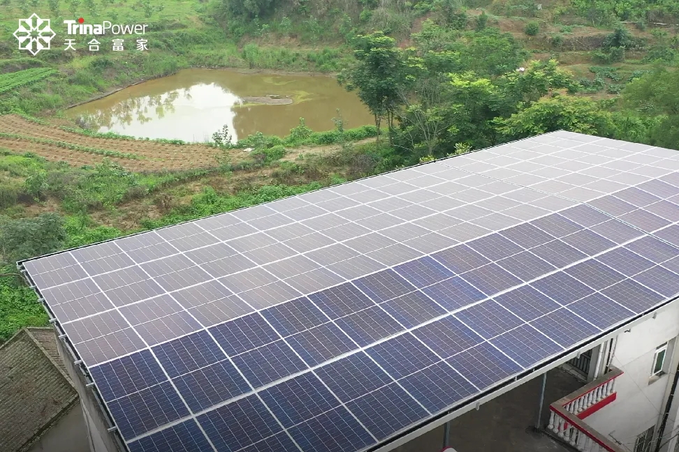 20240402_084943_006.jpg 20240402_084943_006.jpg