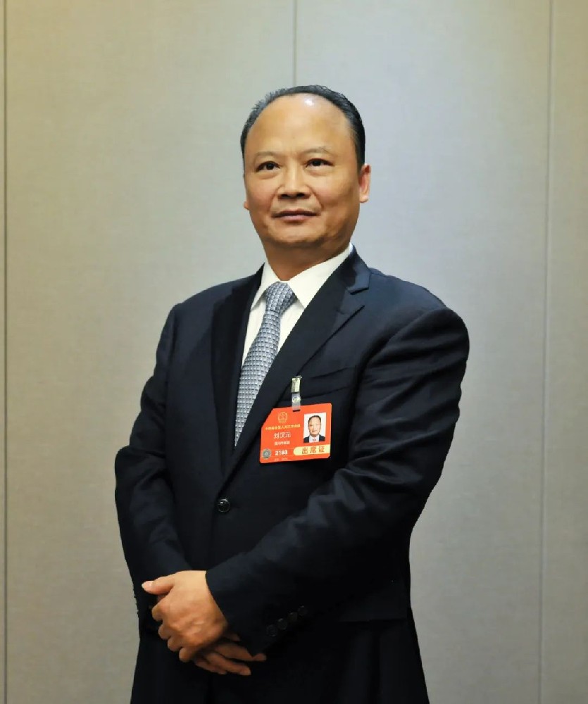 全國人大代表劉漢元：建議擴大國內光伏裝機，推進(jìn) “3060” 目標達成